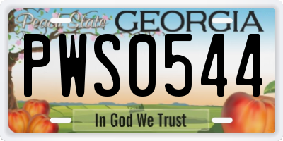 GA license plate PWS0544