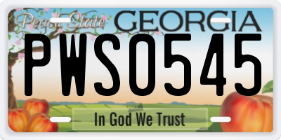 GA license plate PWS0545