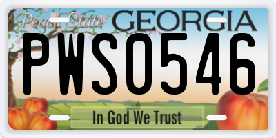 GA license plate PWS0546