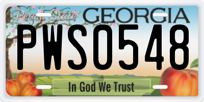 GA license plate PWS0548