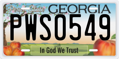 GA license plate PWS0549