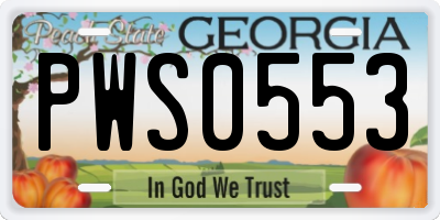 GA license plate PWS0553