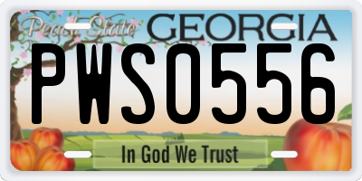 GA license plate PWS0556