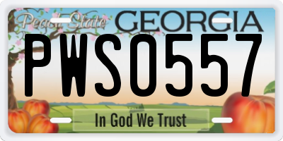 GA license plate PWS0557