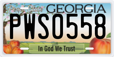 GA license plate PWS0558