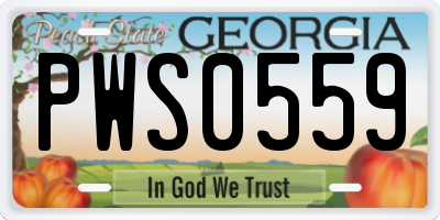 GA license plate PWS0559