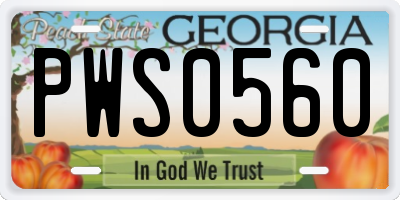 GA license plate PWS0560