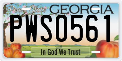 GA license plate PWS0561