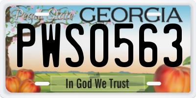 GA license plate PWS0563
