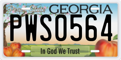 GA license plate PWS0564