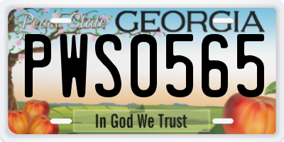 GA license plate PWS0565
