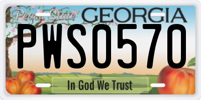 GA license plate PWS0570