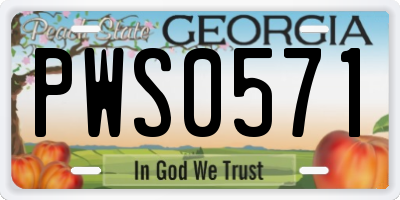GA license plate PWS0571