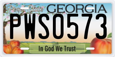 GA license plate PWS0573