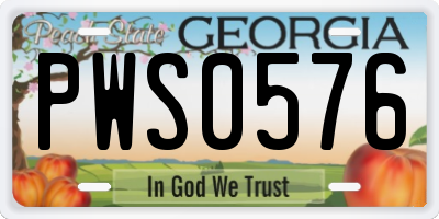 GA license plate PWS0576
