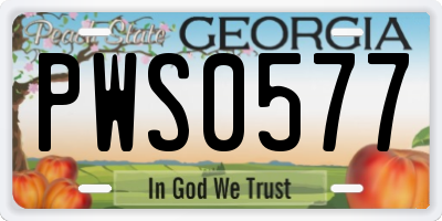 GA license plate PWS0577