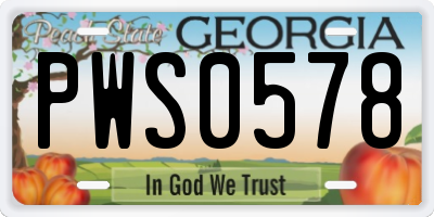 GA license plate PWS0578