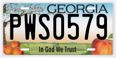 GA license plate PWS0579
