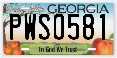 GA license plate PWS0581