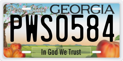 GA license plate PWS0584