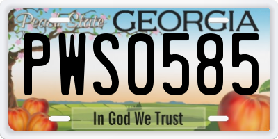GA license plate PWS0585