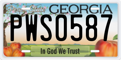 GA license plate PWS0587