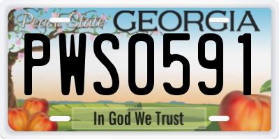 GA license plate PWS0591
