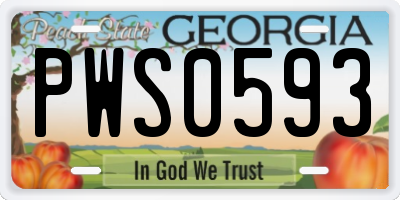 GA license plate PWS0593