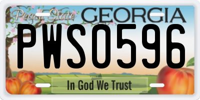 GA license plate PWS0596