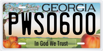 GA license plate PWS0600