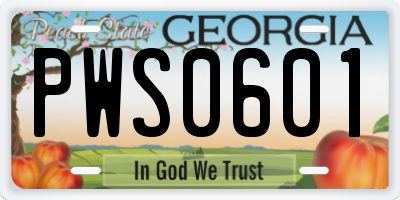 GA license plate PWS0601