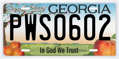 GA license plate PWS0602