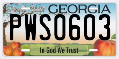 GA license plate PWS0603