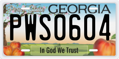 GA license plate PWS0604