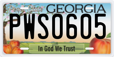 GA license plate PWS0605