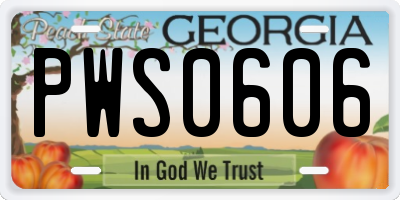 GA license plate PWS0606