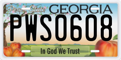 GA license plate PWS0608