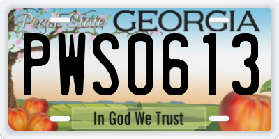 GA license plate PWS0613