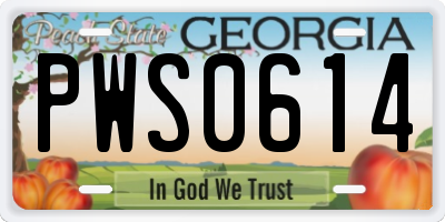 GA license plate PWS0614