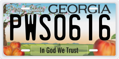 GA license plate PWS0616