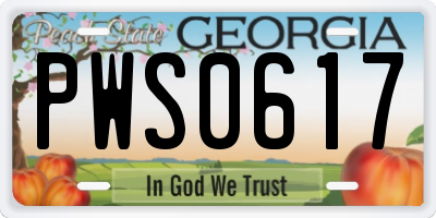 GA license plate PWS0617