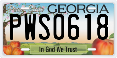 GA license plate PWS0618