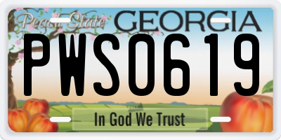 GA license plate PWS0619