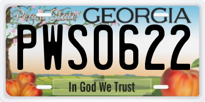 GA license plate PWS0622