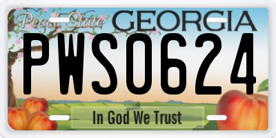 GA license plate PWS0624