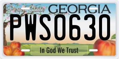 GA license plate PWS0630