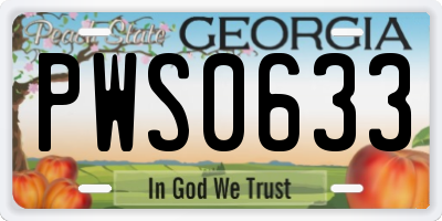 GA license plate PWS0633