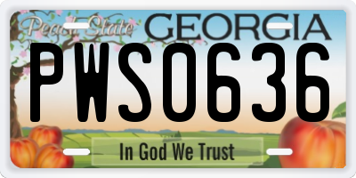 GA license plate PWS0636