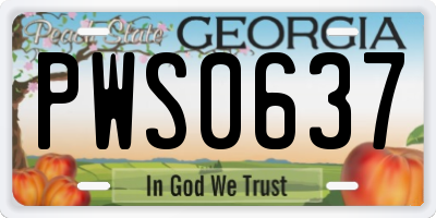 GA license plate PWS0637