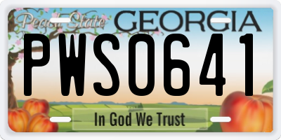 GA license plate PWS0641